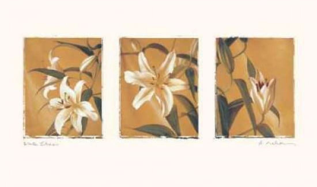 White Lilies Canvas Art - Amy Melious (12 x 18)
