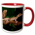 thumbnail image 1 of 3drose, White Line Gecko, Lizard Native to Indonesia - Na02 Dno0902 - David Northcott, 11oz Two-tone Red Mug, 1 of 6