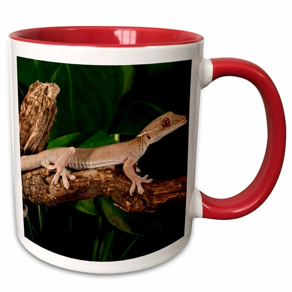 3drose, White Line Gecko, Lizard Native to Indonesia - Na02 Dno0902 - David Northcott, 11oz Two-tone Red Mug