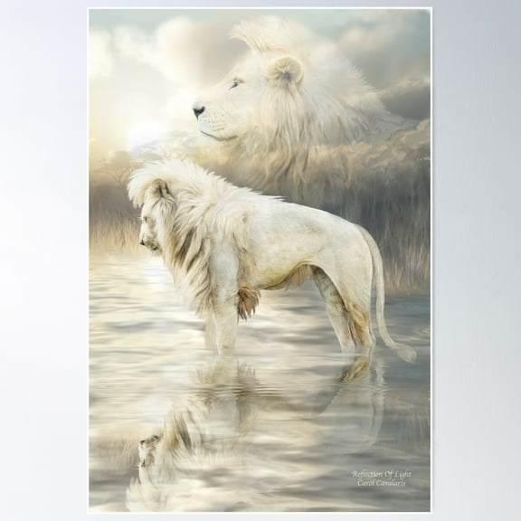White Lion - Reflection Of Light Poster Wall Art, Modern Wall Decor For Living Room Bedroom, 12x18 UNFRAMED