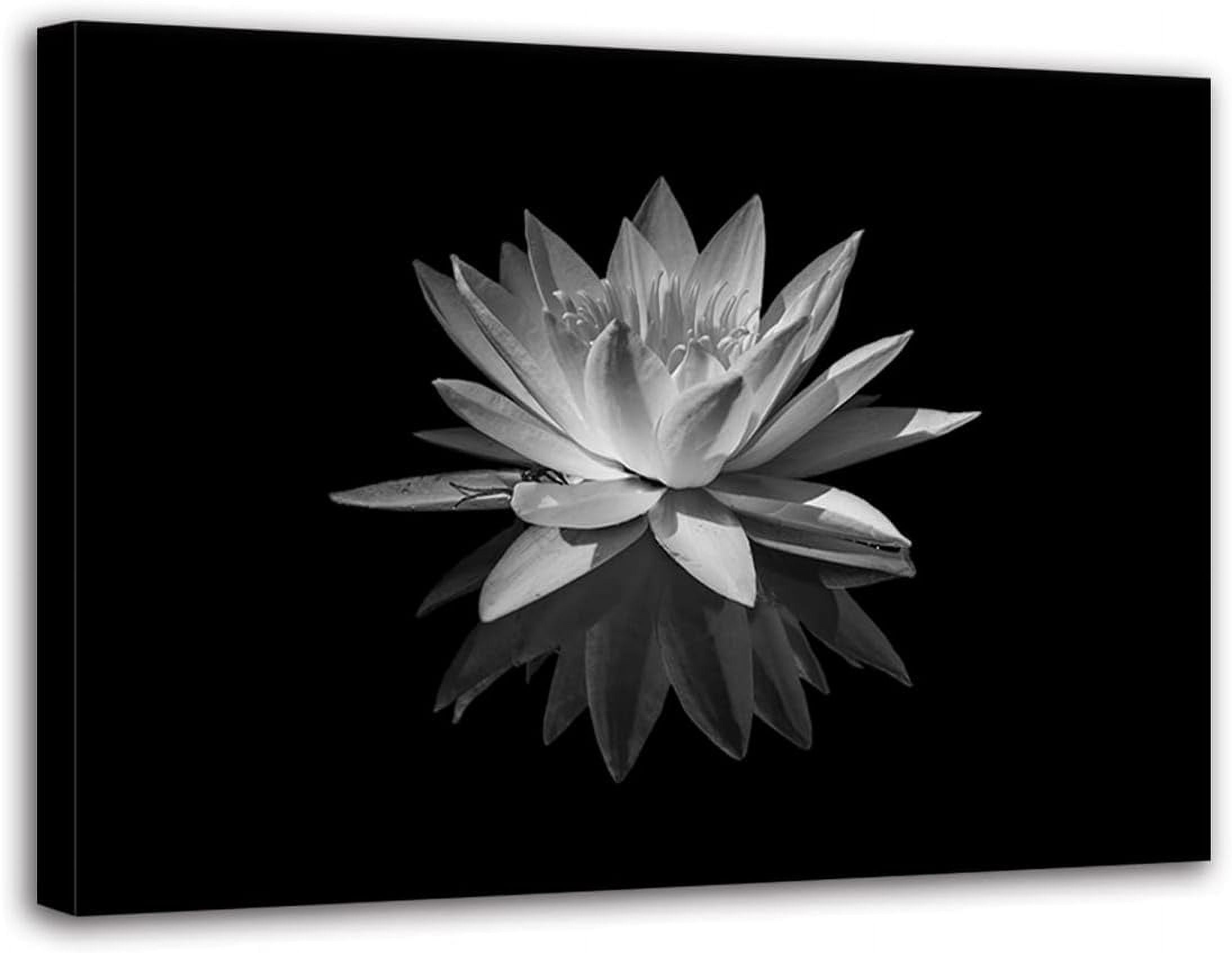 White Lotus Flower Canvas Print Zen Pictures Wall Art Decor Black and ...