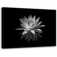 thumbnail image 1 of White Lotus Flower Canvas Print Zen Pictures Wall Art Decor Black and White Floral Painting Decor Frame Ready to Hang (Black and White Lotus Flower - 5, 12"x18"(30x45cm)), 1 of 6