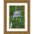 thumbnail image 1 of White, Lynda 11x14 Gold Ornate Wood Framed with Double Matting Museum Art Print Titled - Moss Waterfall, 1 of 4