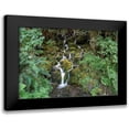 thumbnail image 1 of White, Lynda 14x11 Black Modern Framed Museum Art Print Titled - Fern Waterfall, 1 of 5