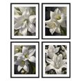 thumbnail image 1 of White Magnolia Wall Art Set of 4 Framed Lotus Artworks Floral Botanical Painting Abstract Flower Artwork Wall Decor for Bedroom Living Room Bathroom Office, 1 of 6