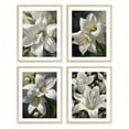 thumbnail image 1 of White Magnolia Wall Art Set of 4 Framed Lotus Artworks Floral Botanical Painting Abstract Flower Artwork Wall Decor for Bedroom Living Room Bathroom Office, 1 of 6