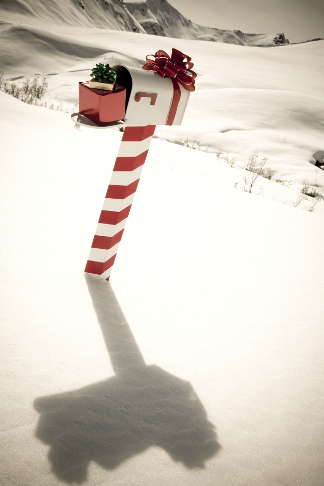 White Mailbox Decorated For Christmas Standing In The Snow Winter Hatcher Pass Southcentral Alaska Canvas Art - Kevin Smith Design Pics (11 x 17)