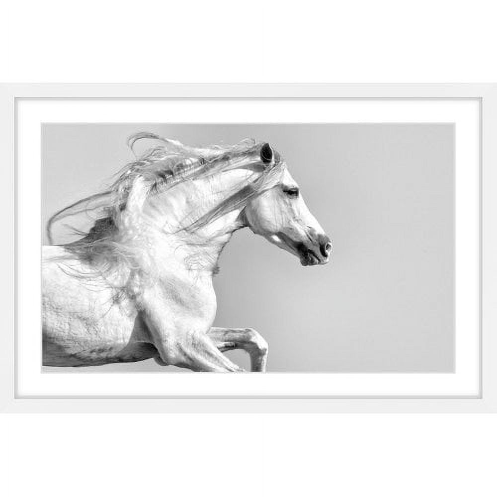"White Mane" Framed Painting Print