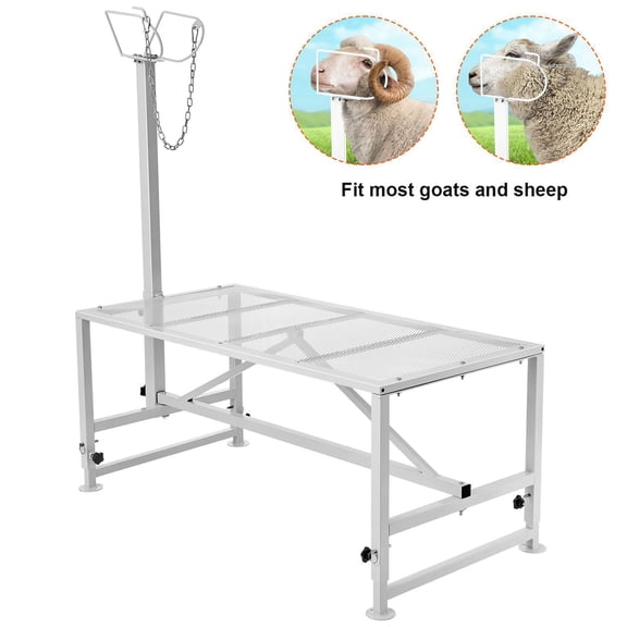 White Metal Goat Sheep Livestock Rack 47x23 Inch Adjustable Height 21 to 33 Inches Milking Shearing Rack with Head Cap Nose Ring 500 lbs Capacity