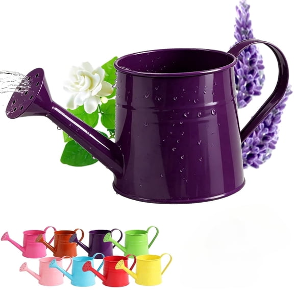 White Metal Watering Can Outdoor, White Watering Can, 1L Vintage Tin Sprinkler Kettle with Long Spout, Gardening Irrigation Tool for Indoor Plants Flowers