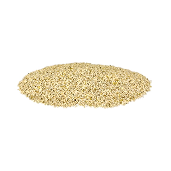 BestNest White Millet Bird Seed, 50 lbs. | Premium Ground & Tray Feeder Seed for Quail, Doves, Finches, Wrens & More |High-Protein, Fiber-Rich Feed for Wild Birds | Ideal for Backyard Ground Feeding