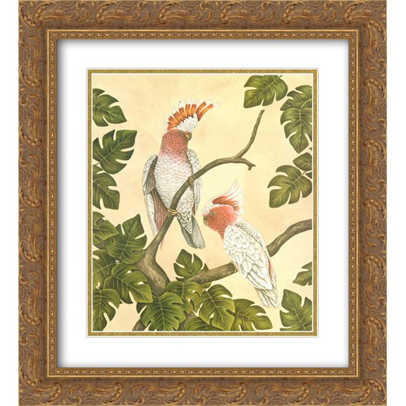 White Mitchell Cockatoos 2x Matted 20x24 Gold Ornate Framed Art Print by Dianne Krumel