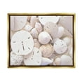 thumbnail image 1 of White Mixed Sand Dollar Shells Coastal Photograph Metallic Gold Framed Art Print Wall Art, 1 of 6