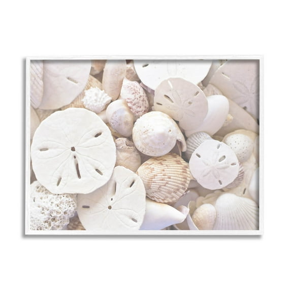 White Mixed Sand Dollar Shells Coastal Photograph White Framed Art Print Wall Art