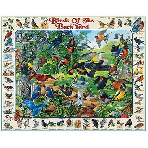 White Mountain Birds Of The Backyard 1000 Piece Jigsaw Puzzle - Walmart.com