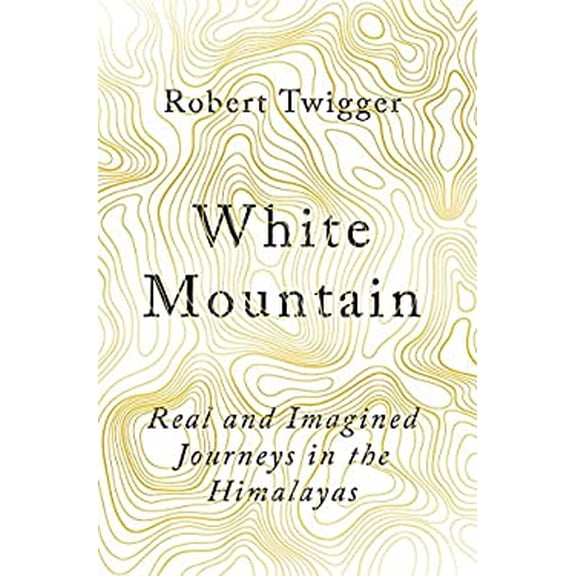 Pre-Owned White Mountain (Hardcover) 9780297608714