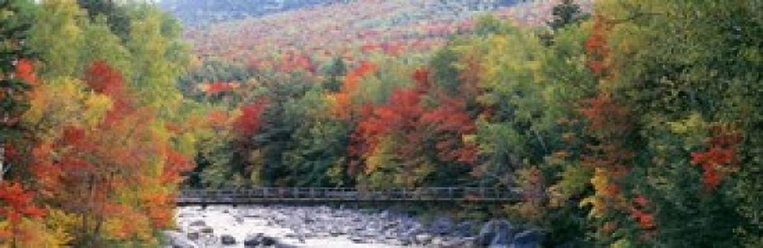 White Mountain National Forest NH Canvas Art - Panoramic Images (37 x 12)