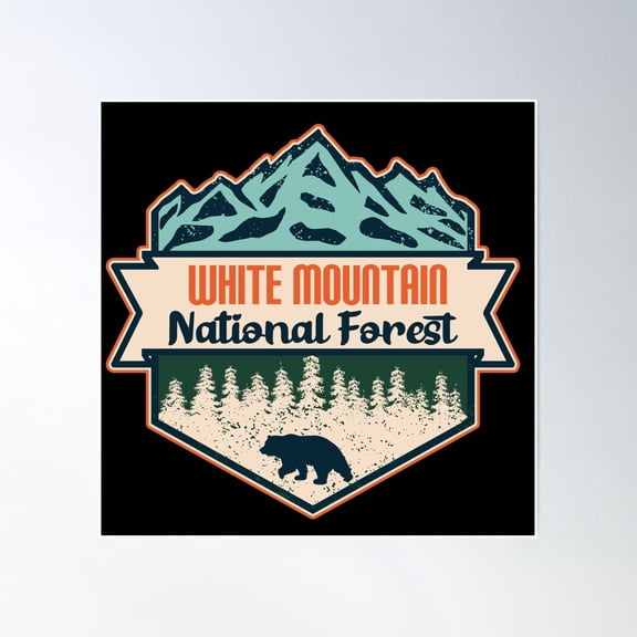 White Mountain National Forest Poster Wall Art, Modern Wall Decor, 16x16 UNFRAMED