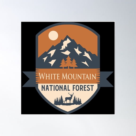 White Mountain National Forest Poster Wall Art, Modern Wall Decor, 16x16 UNFRAMED