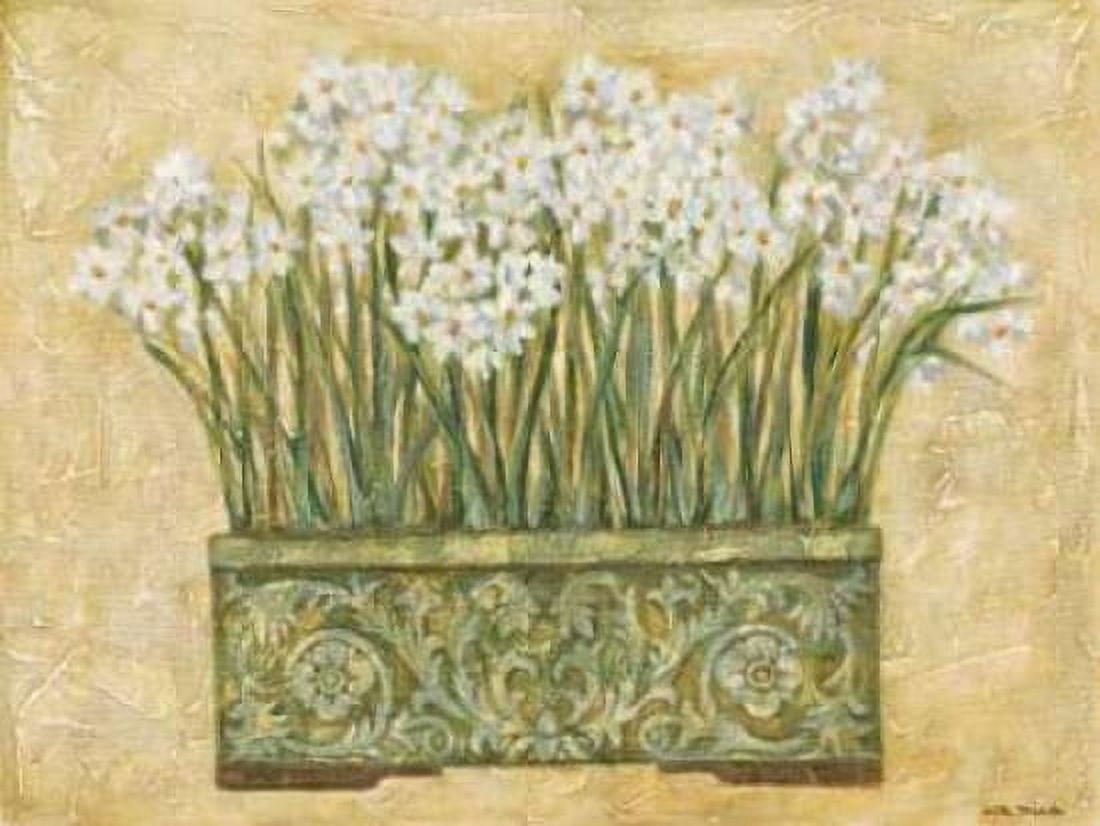 White Narcissus Canvas Art - Eva Misa (18 x 24)