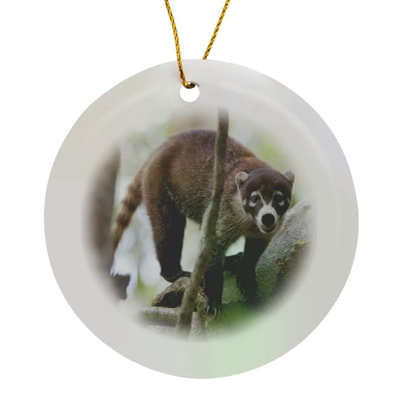3drose, White-nosed Coati Wildlife, Corcovado Np Costa Rica - Sa22 Jgs0078 - Jim Goldstein, Circle Porcelain Ornament