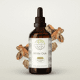 thumbnail image 1 of HerbEra White Oak Tincture, Herbal Dietary Supplement for Digestive Support, White Oak (Quercus alba) Dried Bark Extract, Natural, Alcohol-Free, Drops 4 oz, 1 of 8