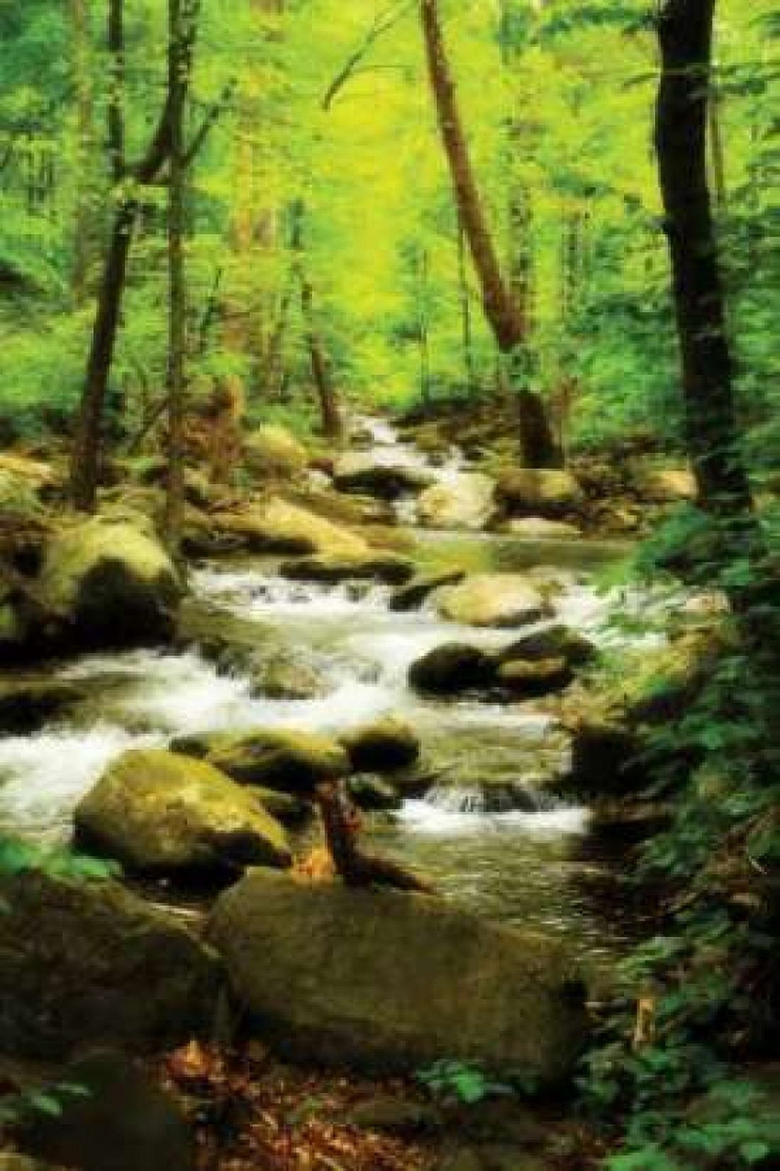 White Oak River I Canvas Art - Alan Hausenflock (12 x 18)