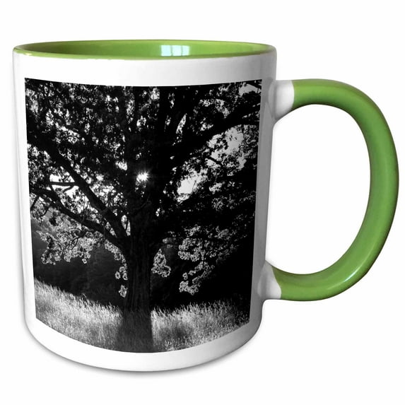 3drose, White Oak Tree, Great Smoky Mountains, Tennessee, Usa - Us43 Aje0291 - Adam Jones, 11oz Two-tone Green Mug