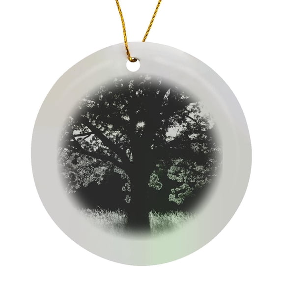 3drose, White Oak Tree, Great Smoky Mountains, Tennessee, Usa - Us43 Aje0291 - Adam Jones, Circle Porcelain Ornament