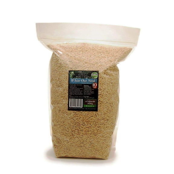White Oat Seed by Eretz 10lb - CHOOSE SIZE! Oregon Grown, State Certified Oat Grains- No Fillers, No Coatings, No Weed Seeds.