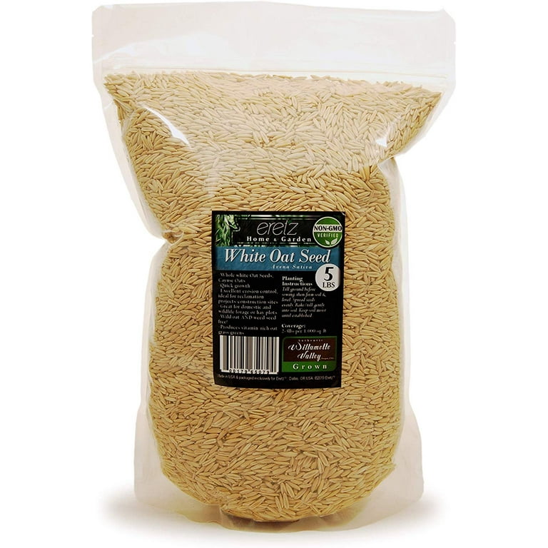 P. white mr. oat peevia（OC） Eretz White Oat Seed, Whole Cayuse