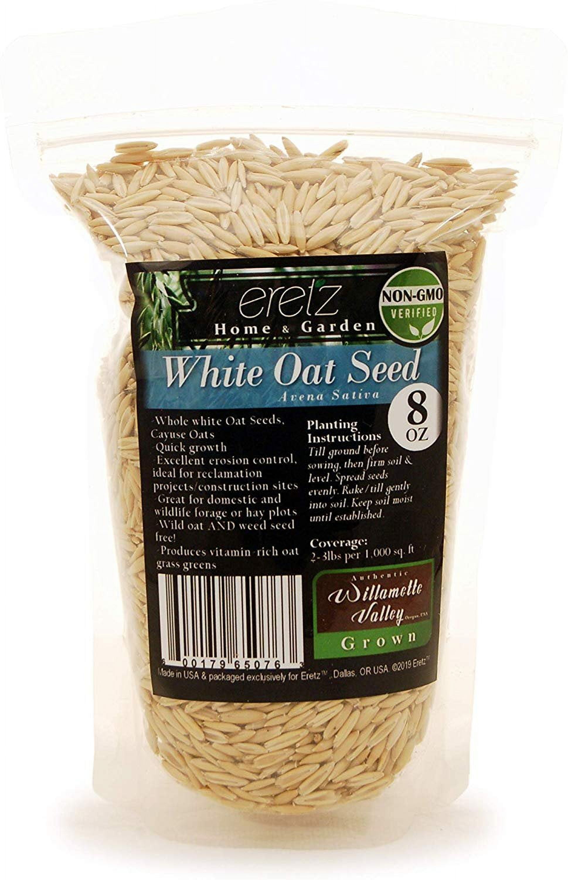 P. white mr. oat peevia（OC） Eretz White Oat Seed, Whole Cayuse