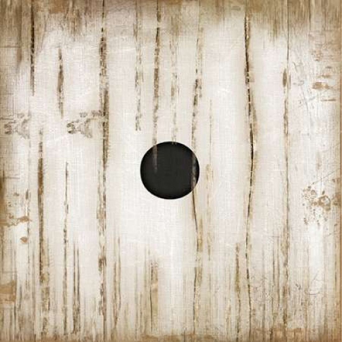 White One Canvas Art - Jennifer Pugh (24 x 24)