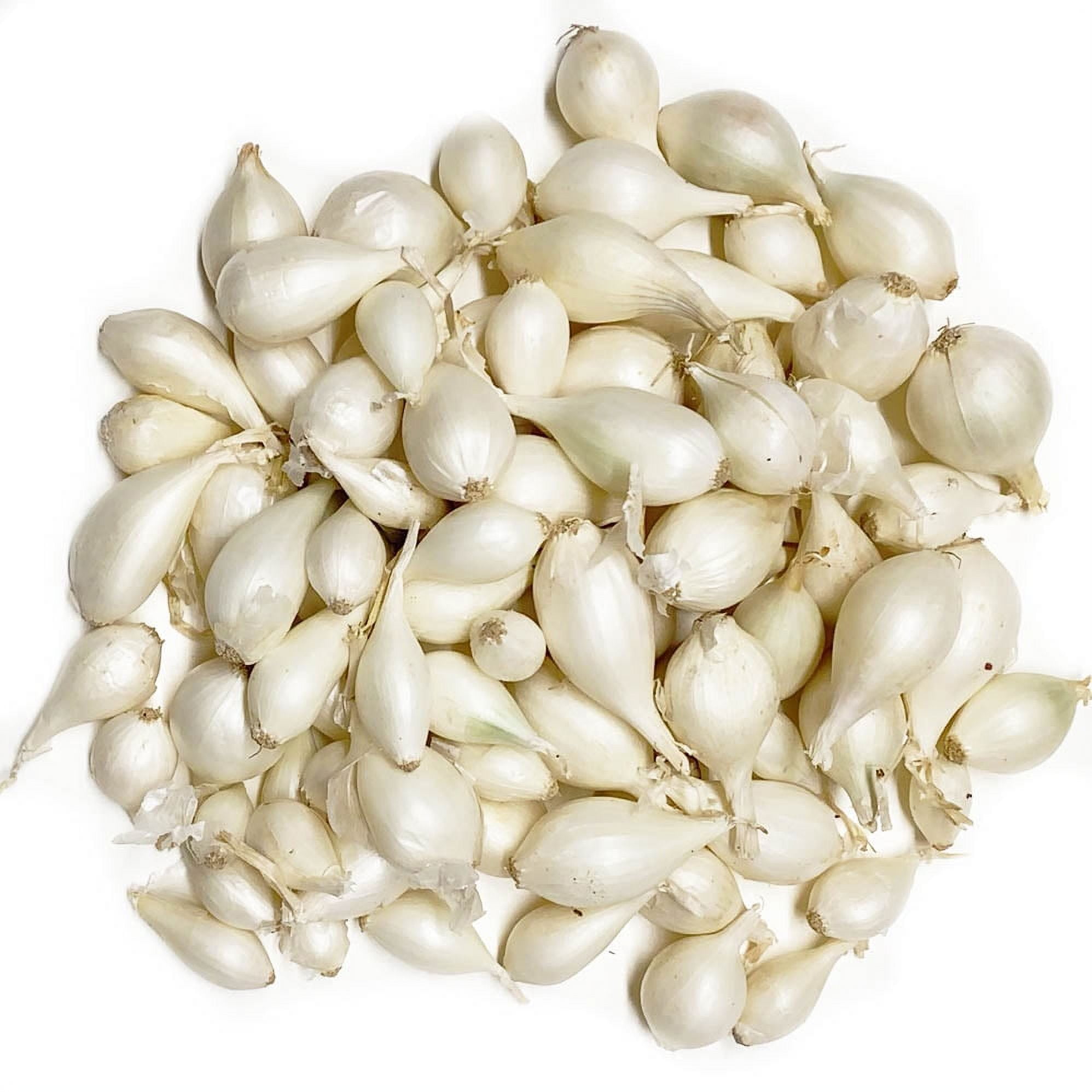 White Onion Sets 100 bulbs for planting Grow white onions or green