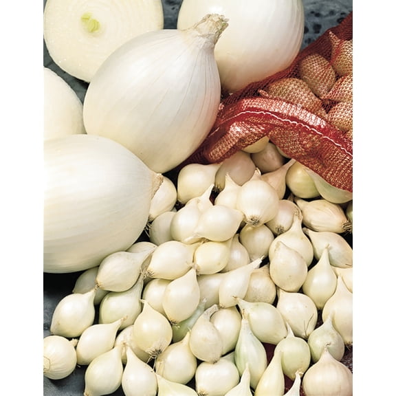 White Onion Sets, 80 bulbs per offer