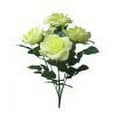 thumbnail image 1 of White Open Rose Bush, 1 Each, 1 of 1