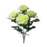 White Open Rose Bush, 1 Each