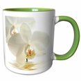 thumbnail image 1 of 3drose, White Orchid Flower in Water Reflection, 11oz Two-tone Green Mug, 1 of 6