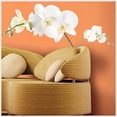 thumbnail image 1 of Room Mates Room Mates Deco 3 Piece White Orchid Wall Decal, 1 of 2