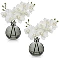 thumbnail image 1 of White Orchids Artificial Flowers Faux Orchid Arrangement with Black Glass Vase Set of 2 Real Touch Phalaenopsis Orchid Flowers Orchid Centerpiece for Dining Room Table, 1 of 7