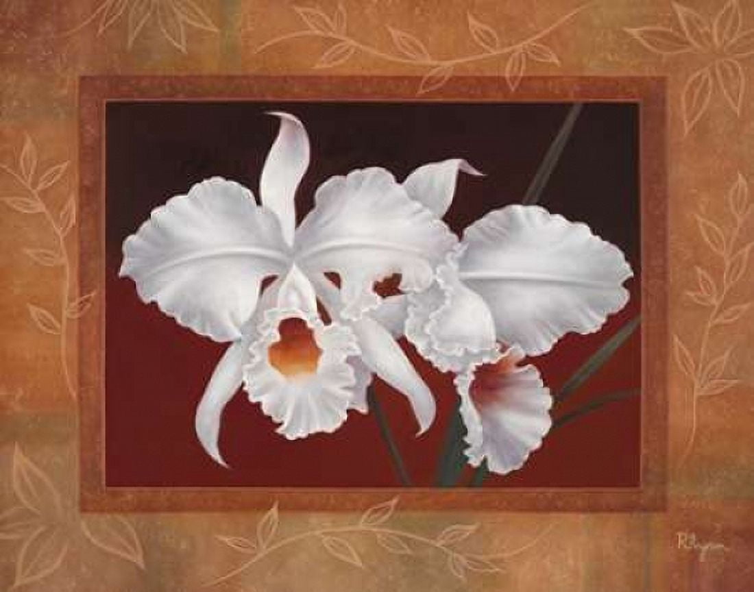 White Orchids Canvas Art - Vivien Rhyan (22 x 28)