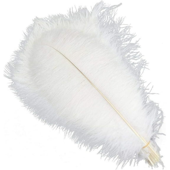 White Ostrich Feathers,Bexikou 20 Pcs 8-10 inch Natural Ostrich Feathers for Wedding Party Centerpieces, Home Decorations and DIY Crafts (White)