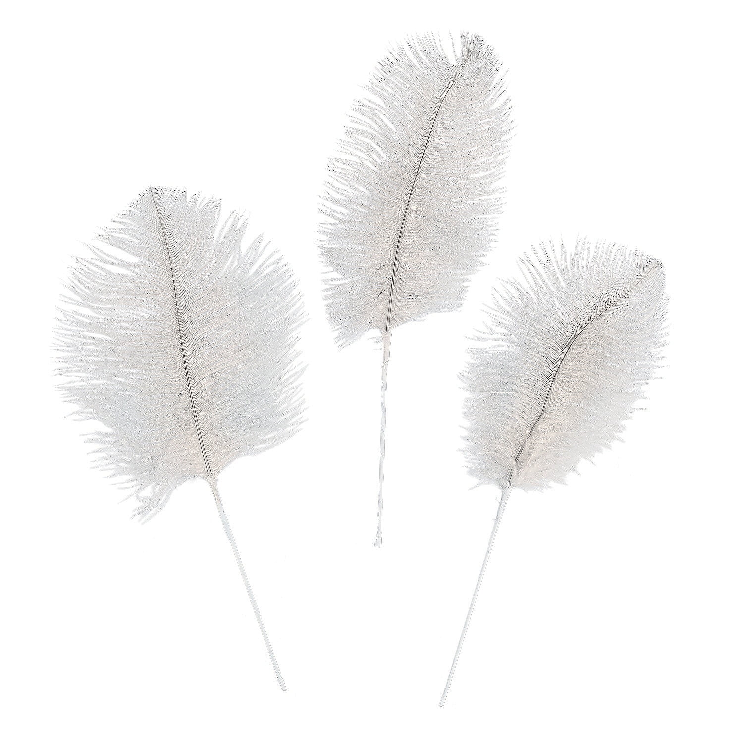 White Ostrich Feathers, Craft Supplies, Feathers And Shells, Bulk