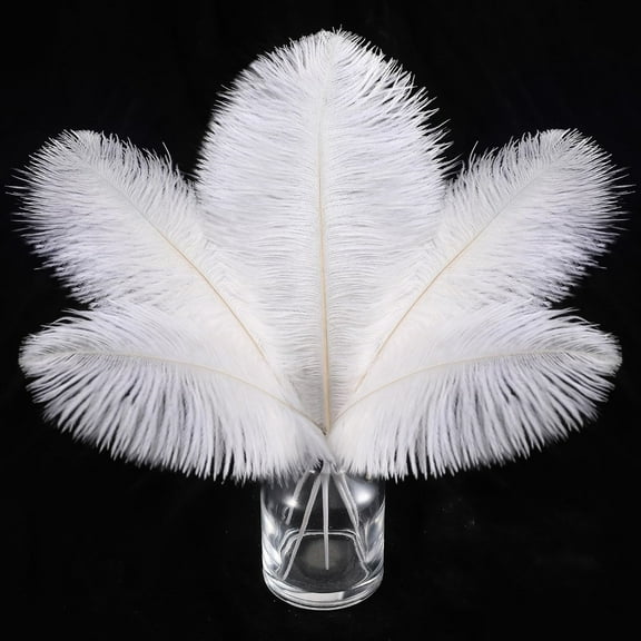 White Ostrich Feathers for Craft,Bexikou 20 Pcs 8-10 inch Ostrich Feathers Kit for Centerpieces, Kindergarten Crafts, Hats and DIY Projects(White)