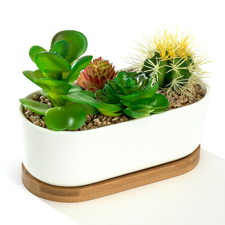 White Oval 6.8 Ceramic Succulent Planter Pot with Bamboo Saucer, Window  Plant Container Box