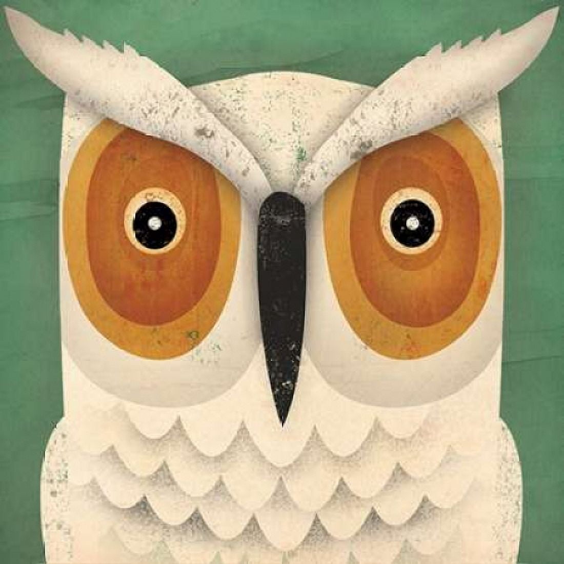 White Owl Canvas Art - Ryan Fowler (24 x 24)