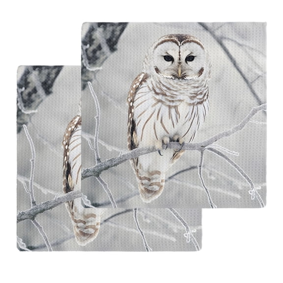 White Owl Kitchen Dish Towels for Drying Dishes Set of 2, Farmhouse Animal Birds Tree Branches Waffle Weave Microfiber Hand Tea Bathroom Towels Quick Dry & Absorbent Towel 12x12