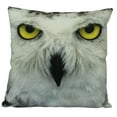 thumbnail image 1 of White Owl | Owl Gifts | Bird | Brid Prints | Bird Decor | Accent Pillow Covers | Throw Pillow Covers | Pillow | Room Decor | Bedroom Decor, 1 of 5