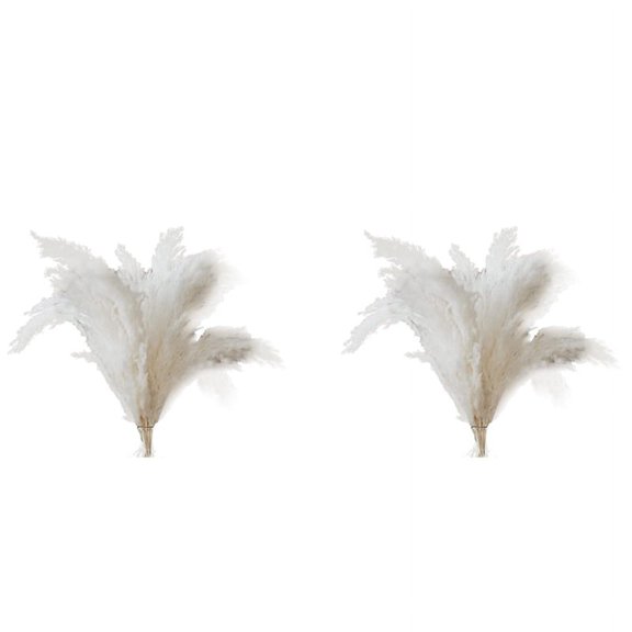 White Pampas Grass - 20 Pampas Stems of  Pampas Grass for Wedding, Home, and Event Decor - Dried Pampas Grass