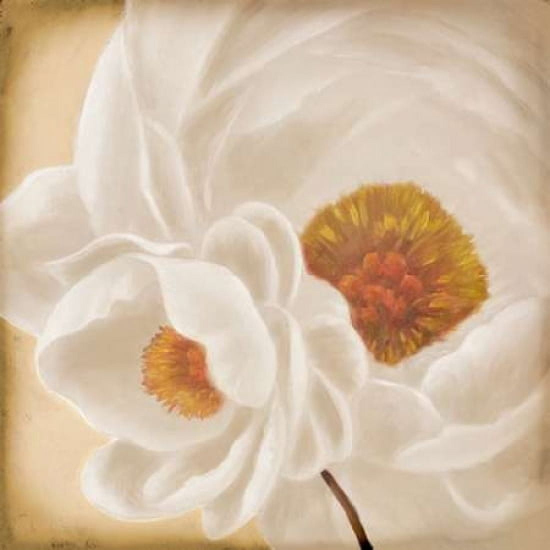 White Peonies II Canvas Art - Vivien Rhyan (24 x 24)